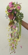 Bouquet cascade dendrobiums