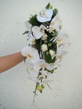 Bouquet cascade phalaenopsis